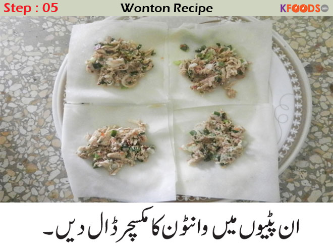 wonton recipes