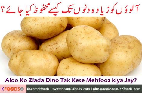 Hi Chef, can you please guide me that how i store potatoes for a long period because this time its available in a cheap rates so i wish to store it for 2, 3 months including Ramadan shareef