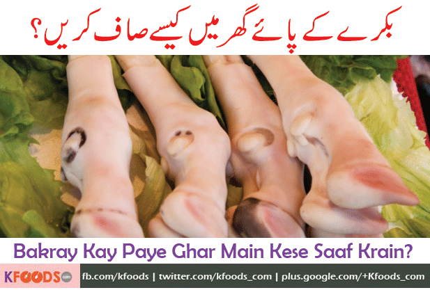 Aslamo ALikum, plz tell me how to remove hairs from cow and goat paya, please detail ka sath btayaga, wating for your tips and tricks..
