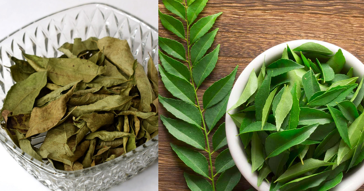 What is the benefits of curry leaf?