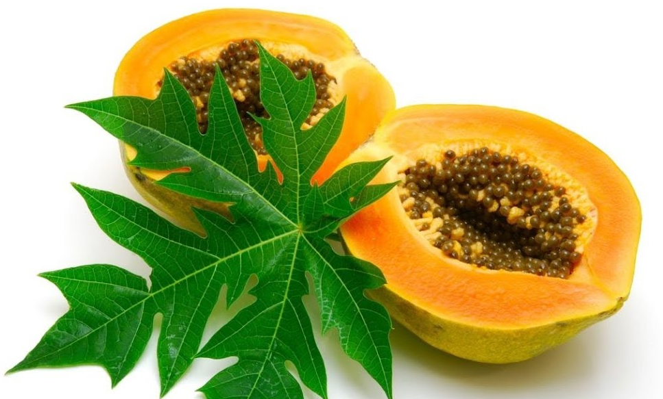What is the purpose of papaya leaf juice?