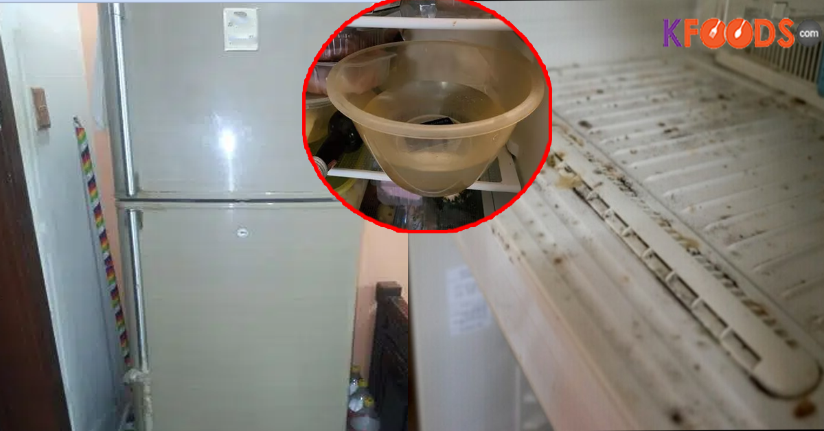 پیالے میں یہ چیز ڈال کر فریج میں رکھ دیں اور.. فریج میں لگا فنگس کیسے