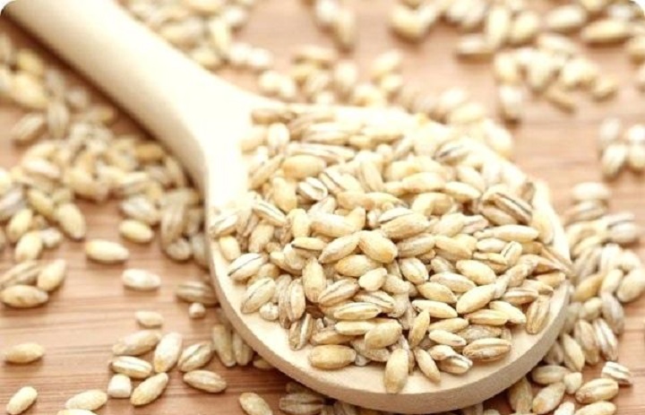 jau-barley-benefits-in-urdu-barley-benefits-urdu-kfoods