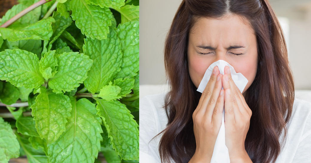 What is the natural remedy for cold cough and fever?