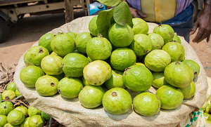  کیا امرود وزن کم کرنے میں مدد کر سکتا ہے؟ جانیئے ماہرین اس بارے میں کیا کہتے ہیں