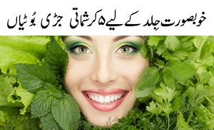 Best 5 Herbs for Skin Care