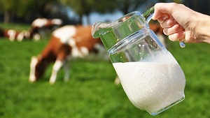 Health Risks of Drinking Raw Milk