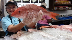 مچھلی خریدتے ہوئے تازہ مچھلی کی پہچان کیسے کی جائے؟