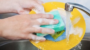 Germs in Kitchen Sponges - Eye Opening Facts