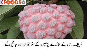 Shareefa Fruit Benefits in Urdu
