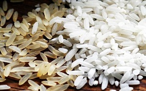 Tips to Identify Fake Plastic Rice