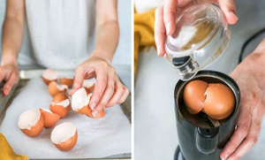 اس کا ٹوتھ پیسٹ بنائیں یا بنائیں مزیداریخنی ۔۔ انڈے کے چھلکوں کوپھینکئے نہیں اسکو دوبارہ استعمال کرنے کے 8 مفید طریقے