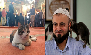 امام مسجد کی رحم دلی کی اعلیٰ مثال قائم کردی ۔۔ بلیوں کو سردی سے بچانے کے لیے اِمام نے ایسا کیا کیا جس سے لوگوں کے دل خوش ہوگئے؟