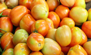 اکثر خواتین بازار سے کچے ٹماٹر خرید لیتی ہیں اور پھر یہ پکنے کہ بجائے خراب ہو جاتے ہیں۔۔۔ جانیں ہرے اور کچے ٹماٹروں کو ایک دم تازے اور لال بنانے کا آسان طریقہ
