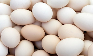 اگر آپ بھی انڈہ بنانے سے پہلے یہ کام کرتے ہیں تو ہر گر نہ کریں کیونکہ ماہرین کہتے ہیں کہ۔۔۔۔