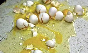 اگر انڈہ ٹوٹ کر گِر جائے تو پھینک کر ضائع نہ کریں۔۔۔ جانیئے اس کو استعمال کرنے کی 4 آسان ٹپس
