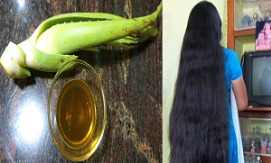 بال بڑھانے ہیں تو ایلوویرا استعمال کریں، جانیئے ایلو ویرا میں پوشیدہ قدرتی خزانے جو آپ کے چہرے اور بالوں کو خوبصورت بنائیں