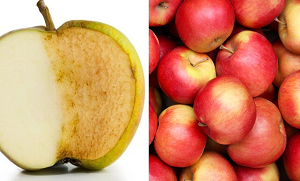 سیب کاٹنے کے بعد اس کا رنگ کالا کیوں ہوجاتا ہے؟ میٹھے پھل سیب کے بارے میں دلچسپ معلومات جو آپ کو فائدہ پہنچائے گی