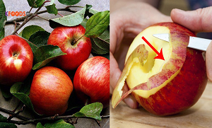 سیب کے چھلکے کو پھینکنے کے بجائے یہ کام کریں ۔۔ سیب کے چھلکے کے وہ حیرت انگیز فائدے جس کے بارے میں آپ کو کوئی نہیں بتائے گا