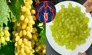 نہار منہ چند دانے انگور کھانے سے کیا ہوتا ہے؟ خون بناتا ہے، قبض کشا اور دل کے مریضوں کے لئے فائدہ مند.. عام پھل کے خاص فائدے