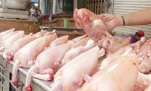 کیا آپ کے گھر بھی مرغی کا گوشت بہت زیادہ استعمال کیا جارہا ہے تو ٹہرئیے! پہلے یہ حقائق جان لیں کہ۔۔۔۔
