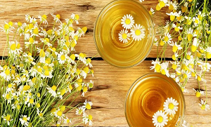 کیمومائل چائے اچھی لگتی ہے ۔۔ لیکن آج جانئے کیمومائل پھول کے18 حیرت انگیز فوائد