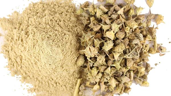 Gokhru Booti Ke Fayde