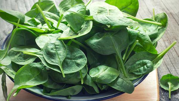 bathua-saag-benefits-in-urdu-in-urdu-remedy-benefits-gharelo-tips