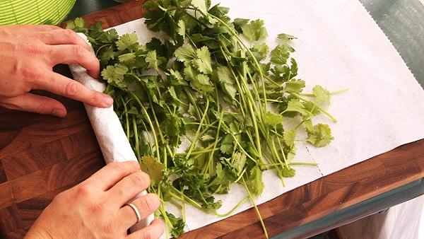 How to Keep Herbs Fresh!