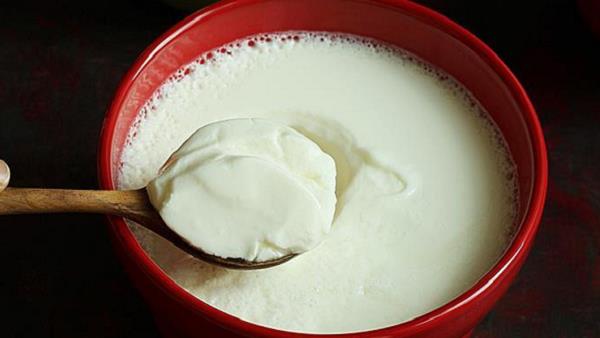 Ghar Main Dahi Jamane Ka Tarika