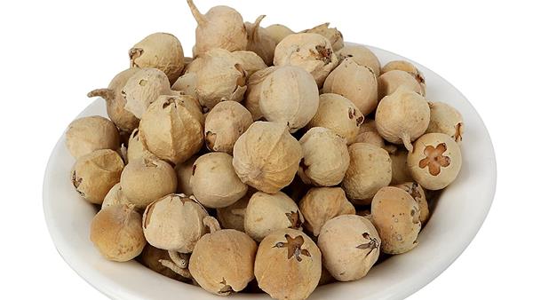 Paneer Booti Ke Fayde in Urdu