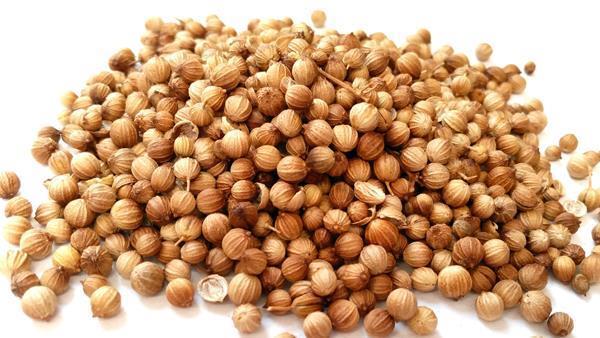 Khushk Dhania Ke Fawaid in Urdu