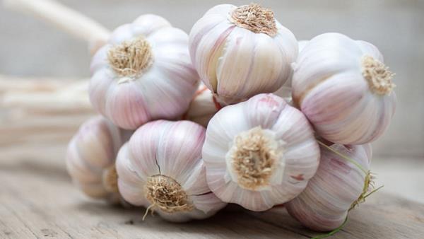 Lahsun Ko Mehfooz Karne Ka Tarika