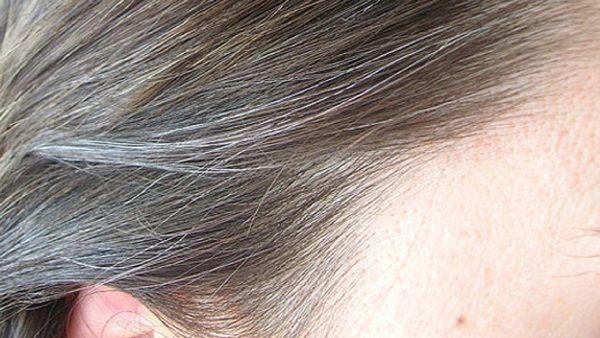 Home Remedies For Premature White Hair | Gharelo Tips and Totkay | Easy  Tips & Totka