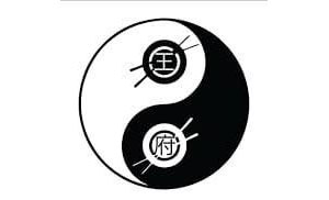 Wang fu Chinese Restaurant