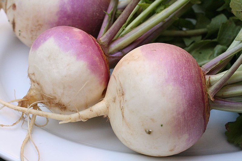 Turnip (shaljam)