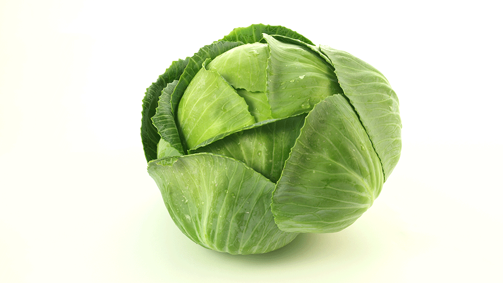 Cabbage (Band Gobi)