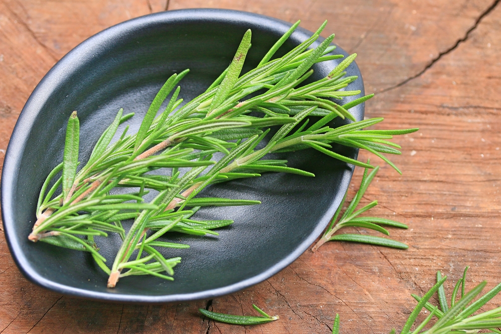 Rosemary leaves (Akleel Kohistani - Sadabhar Podeena Jaisay Khshbo wala Jangli Poda)