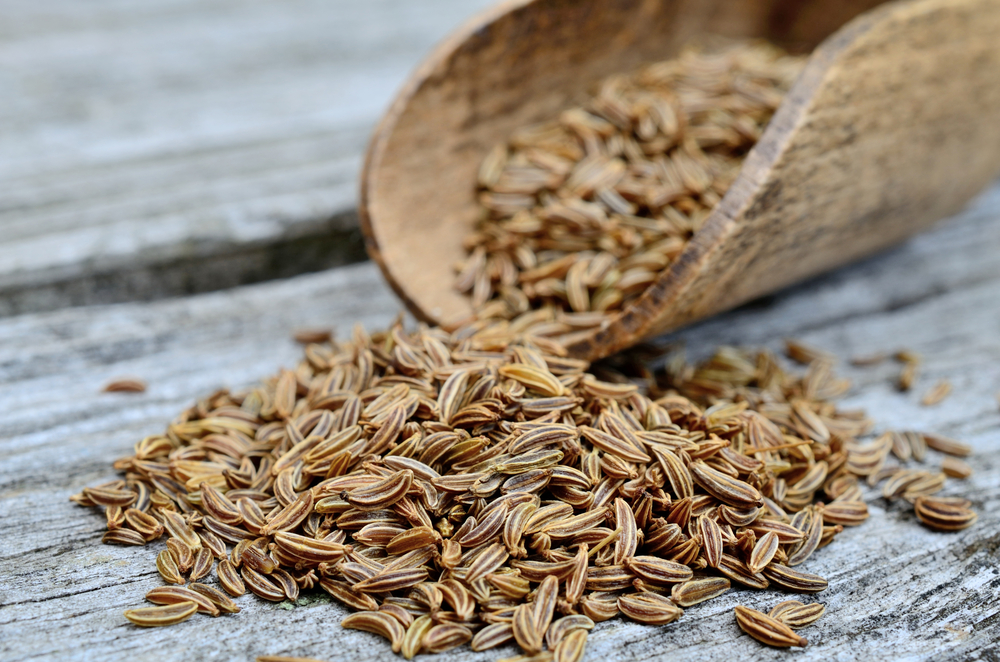 Caraway seeds Meaning in urdu | meaning in English