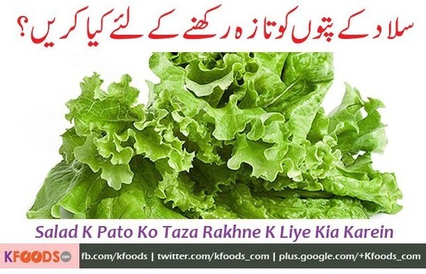 Salad k pato ko taza rakhne k liye kia kuch asan si tips bata dein, murjhaye se hojate hein me aksar fridge me rakhti hon..