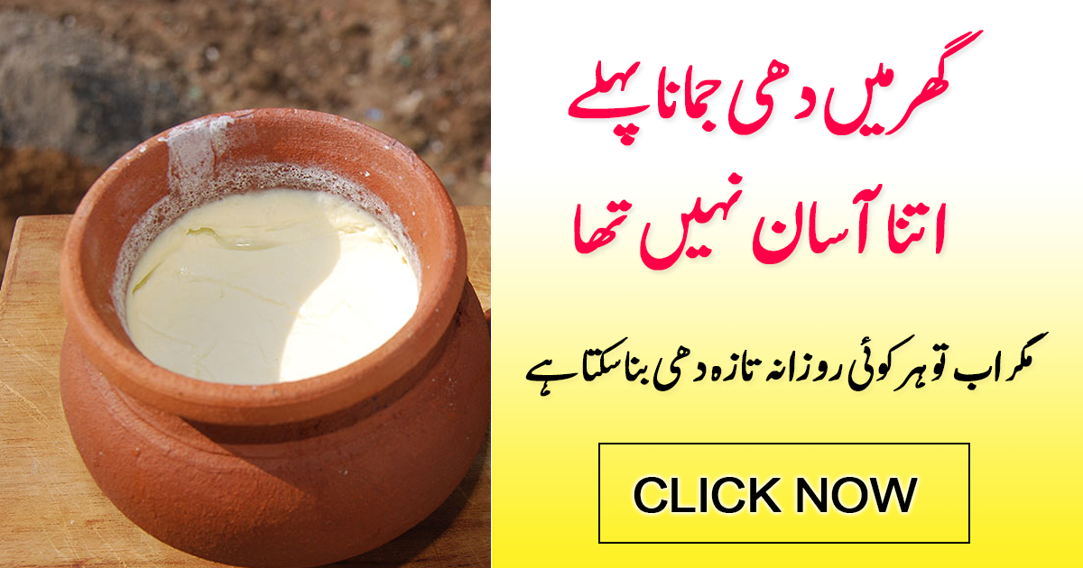 Asad bhai kindly send me a method that how to make fresh yogurt at home.