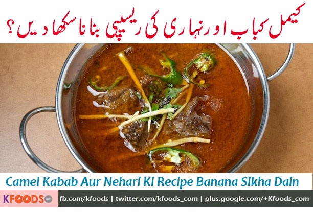 Please chef asad tell me the easy method of cooking Camel Kabab and Nihari at home, i am very thankful to you