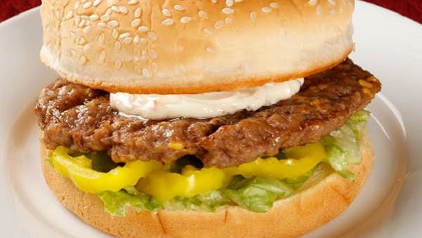 Daimi Grass Burger
