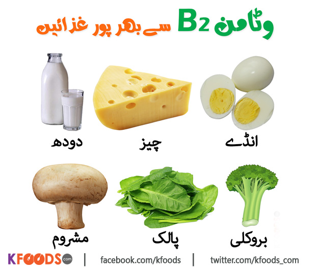 Vitamin B2 Rich Foods